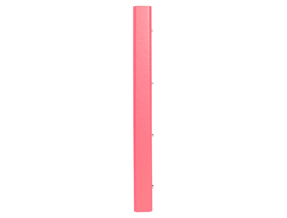 CLASSEUR ANTARTIK 4 ANNEAUX RONDS 25MM A4 CARTON REMBORDE FEUILLETS MOBILES Q5X5 COLORISCORAIL