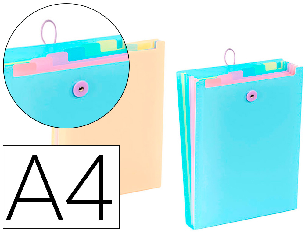 TRIEUR VIQUEL RAINBOW PASTEL POUR SAC A DOS 6              COMPARTIMENTS POLYPROPYLENE   A4 25X33X3,5CM COLORIS BLEU