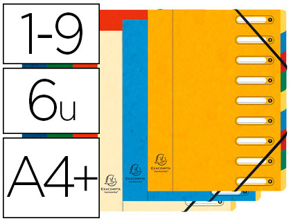 TRIEUR EXACOMPTA HARMONIKA CARTE LUSTRE 5.5/10E A4+ 9 COMPARTIMENTS  FENTRES LASTIQUES DOS EXTENSIBLE