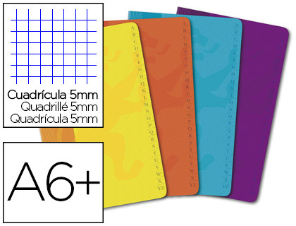 RPERTOIRE OXFORD OPENFLEX AGRAF COUVERTURE POLYPROPYLNE 110X170MM 96 PAGES 90G 5X5MM