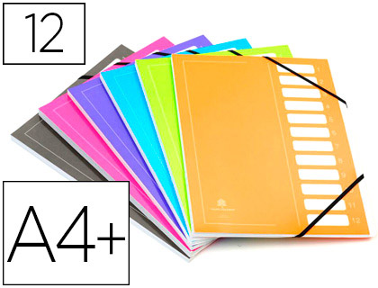 TRIEUR EXTENDOS CARTE IMPRIME PELLICULE 240X320MM 12 COMPARTIMENTS DOS EXTENSIBLE FERMETURE LASTIQUE COLORIS ASORTIS